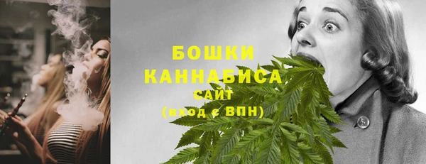 ГАЛЛЮЦИНОГЕННЫЕ ГРИБЫ Ельня