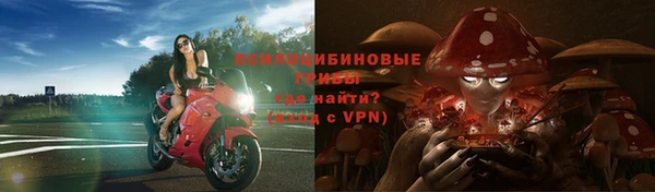 ГАЛЛЮЦИНОГЕННЫЕ ГРИБЫ Ельня