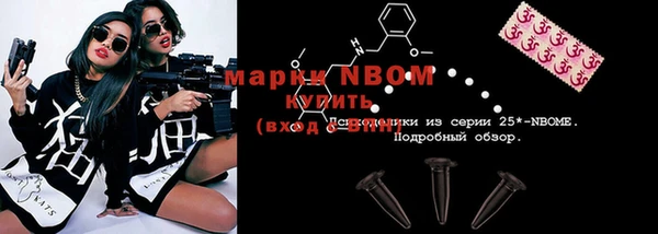 ГАЛЛЮЦИНОГЕННЫЕ ГРИБЫ Ельня