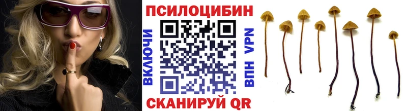 Псилоцибиновые грибы ЛСД  Купить закладки  Нюрба 